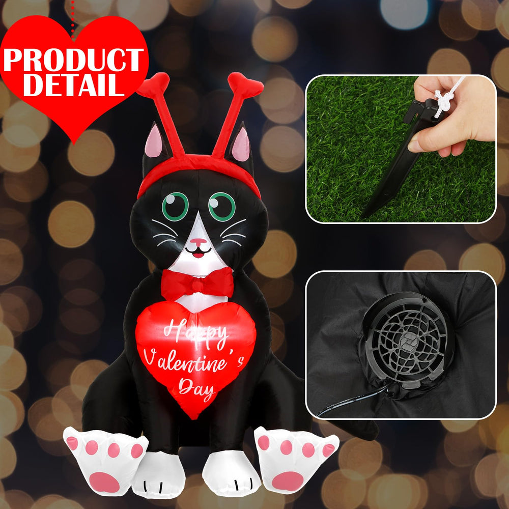 Leyndo cat glowing with built-in LEDs at night for increased visibility