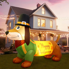 Leyndo dachshund front view showing full festive outfit and welcoming curb appeal