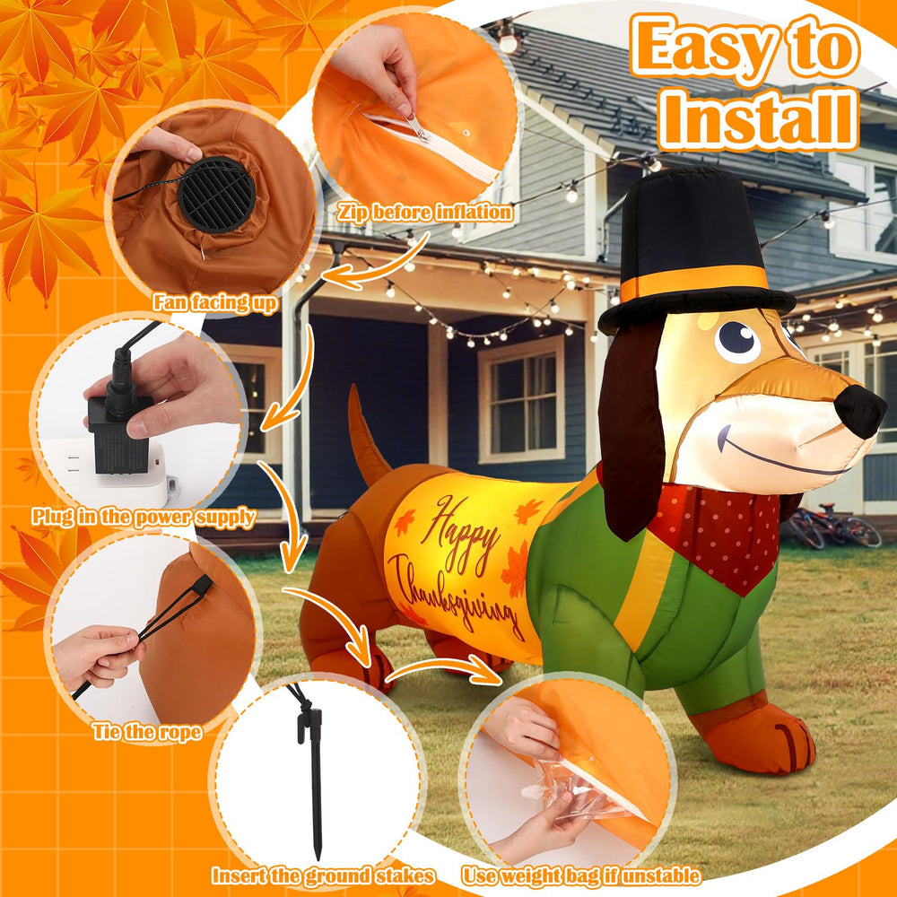 Leyndo dachshund lit at night with LEDs providing visible evening charm