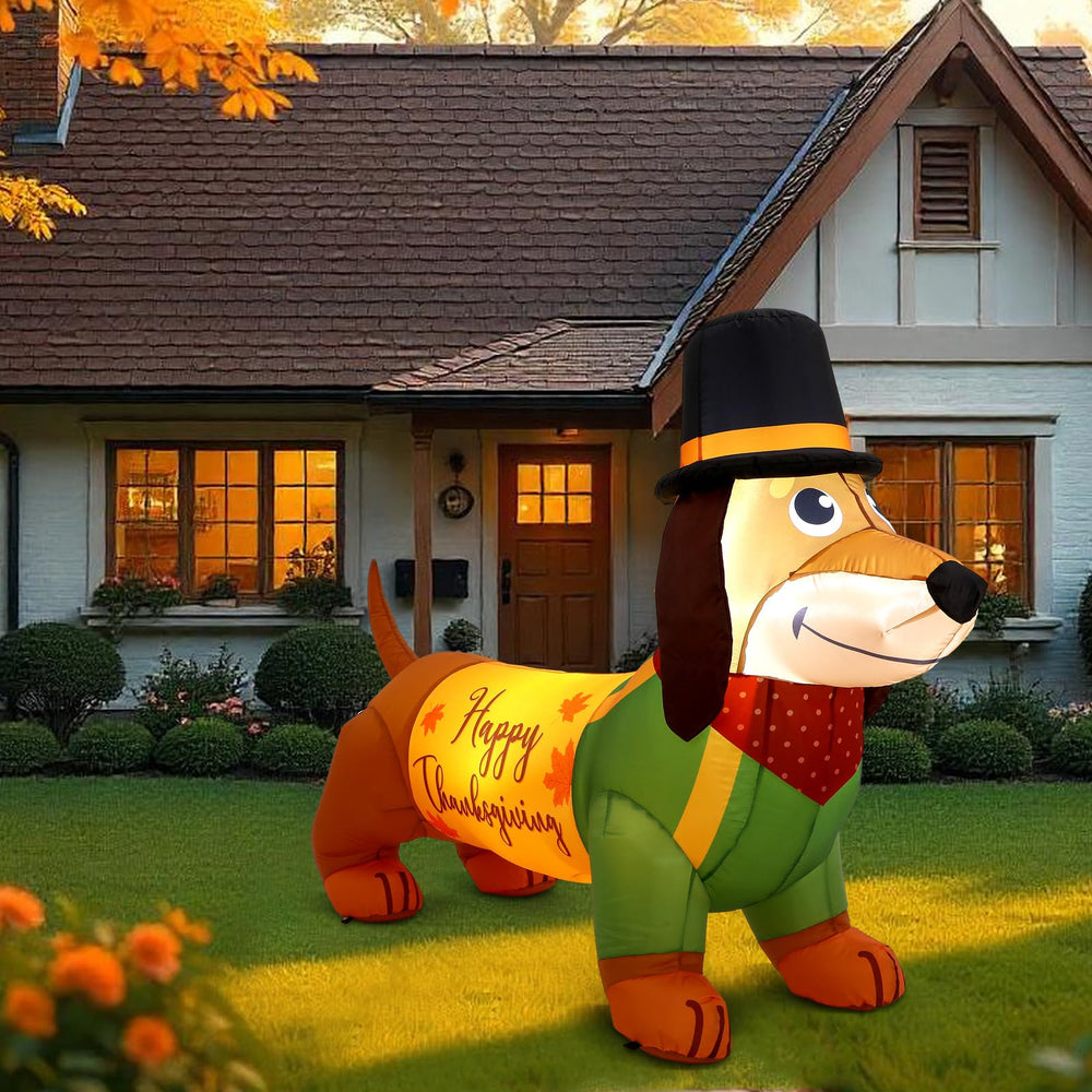 Leyndo dachshund on lawn next to mailbox illustrating size and scale