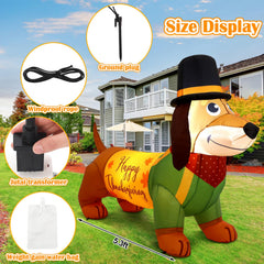 Leyndo dachshund side detail highlighting harvest clothes and durable material