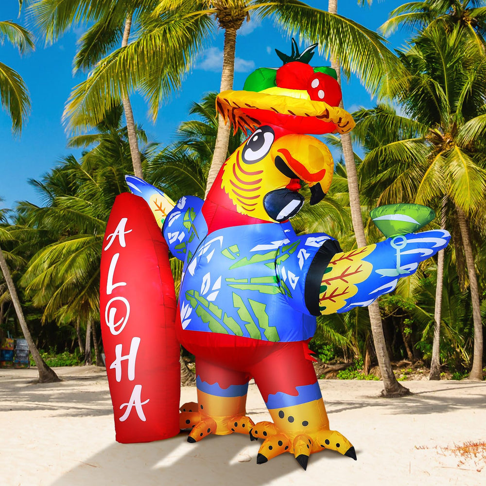 Leyndo parrot next to person illustrating Leyndo size and scale