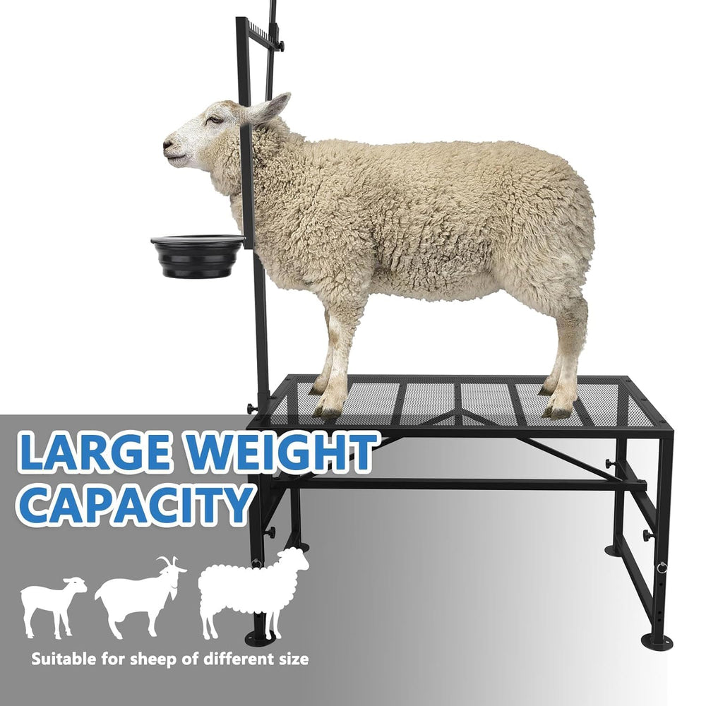 Lezbanz disassembled compact transport view showing lightweight portability benefit