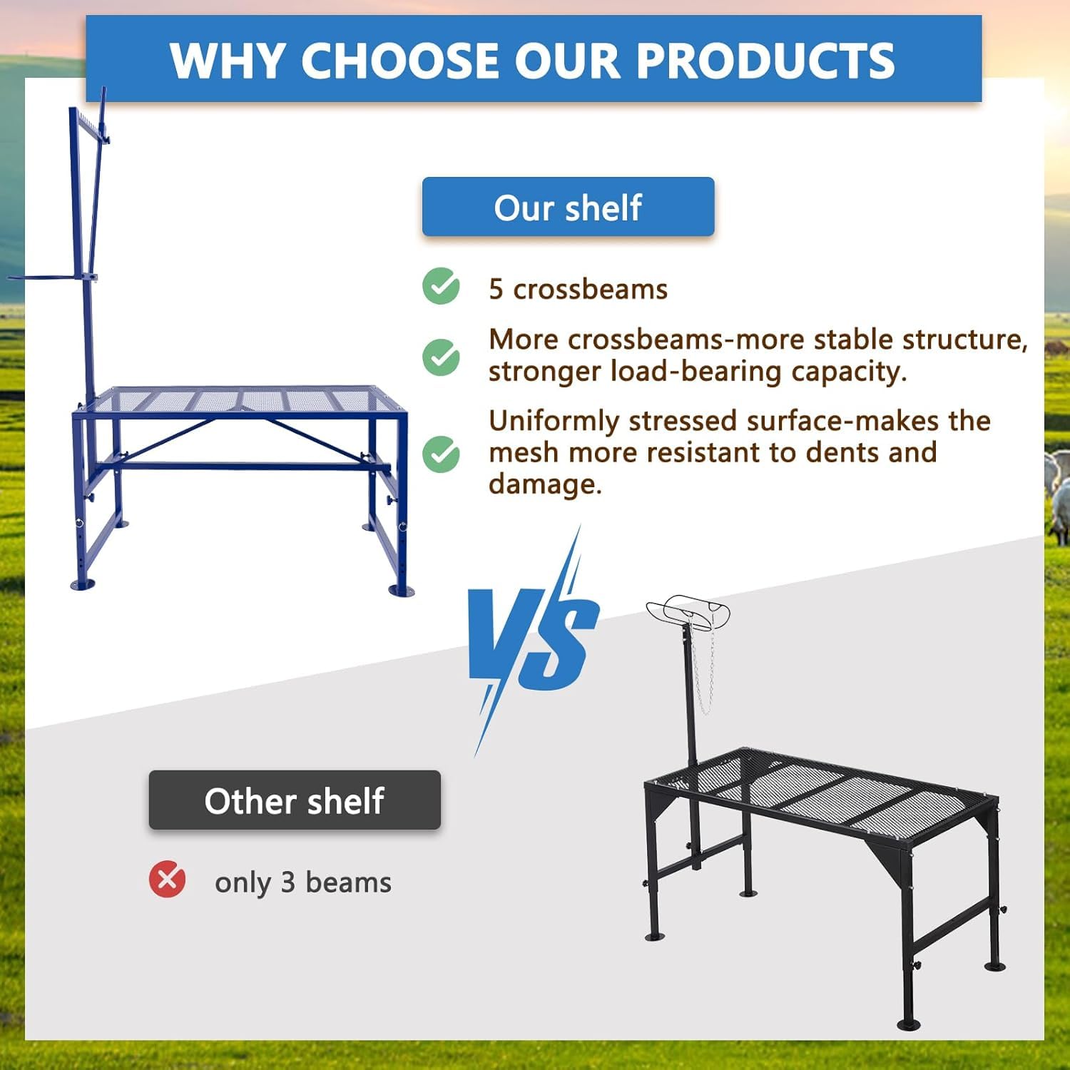 Lezbanz expanded metal deck texture providing anti-slip support and durability