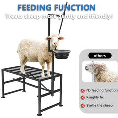 Lezbanz feed bin detail with removable tray keeping goats calm while working