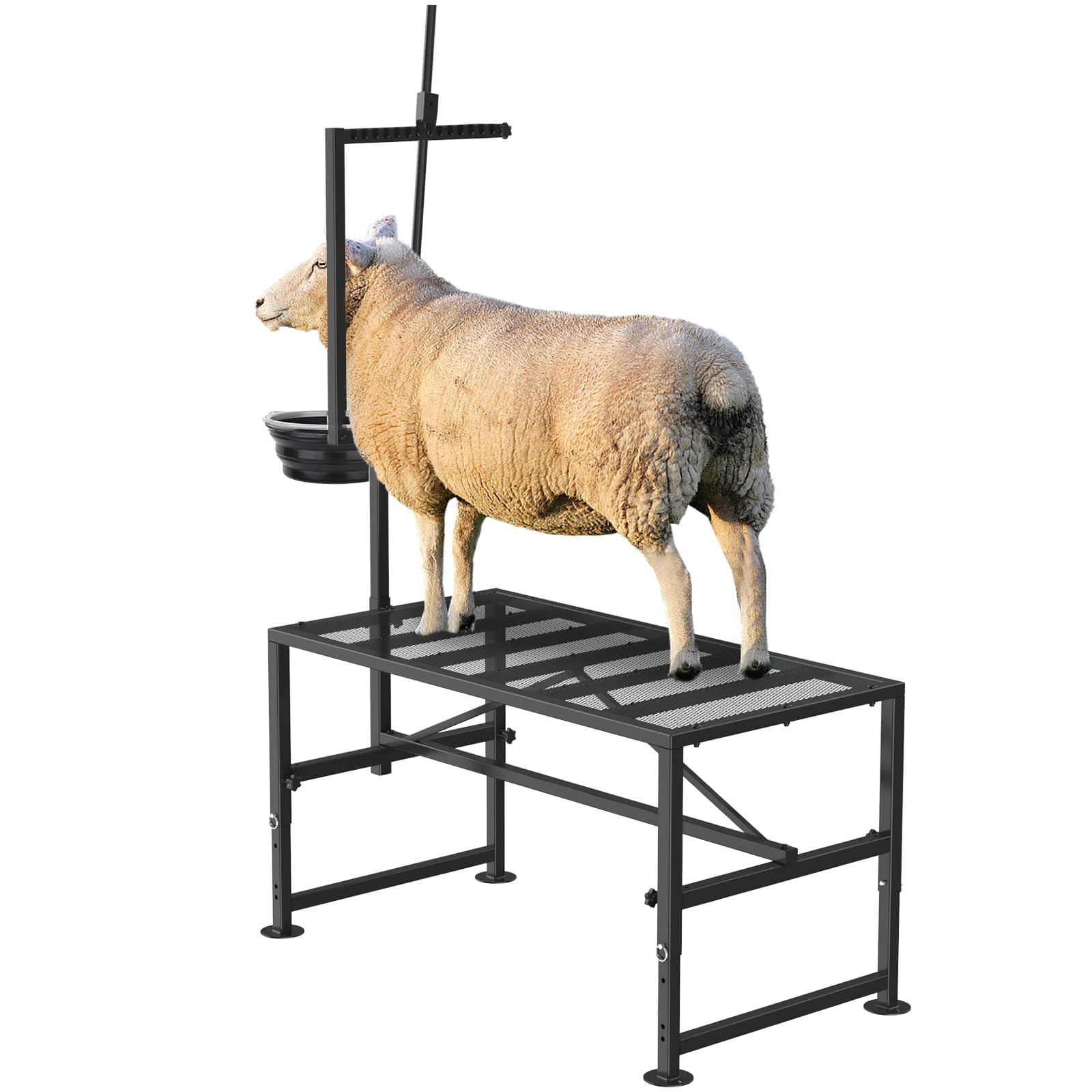 Lezbanz front view of goat stand showing stable frame and quick access