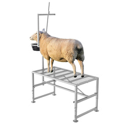 Lezbanz front view showing feed bin and secure animal restraint benefit safety