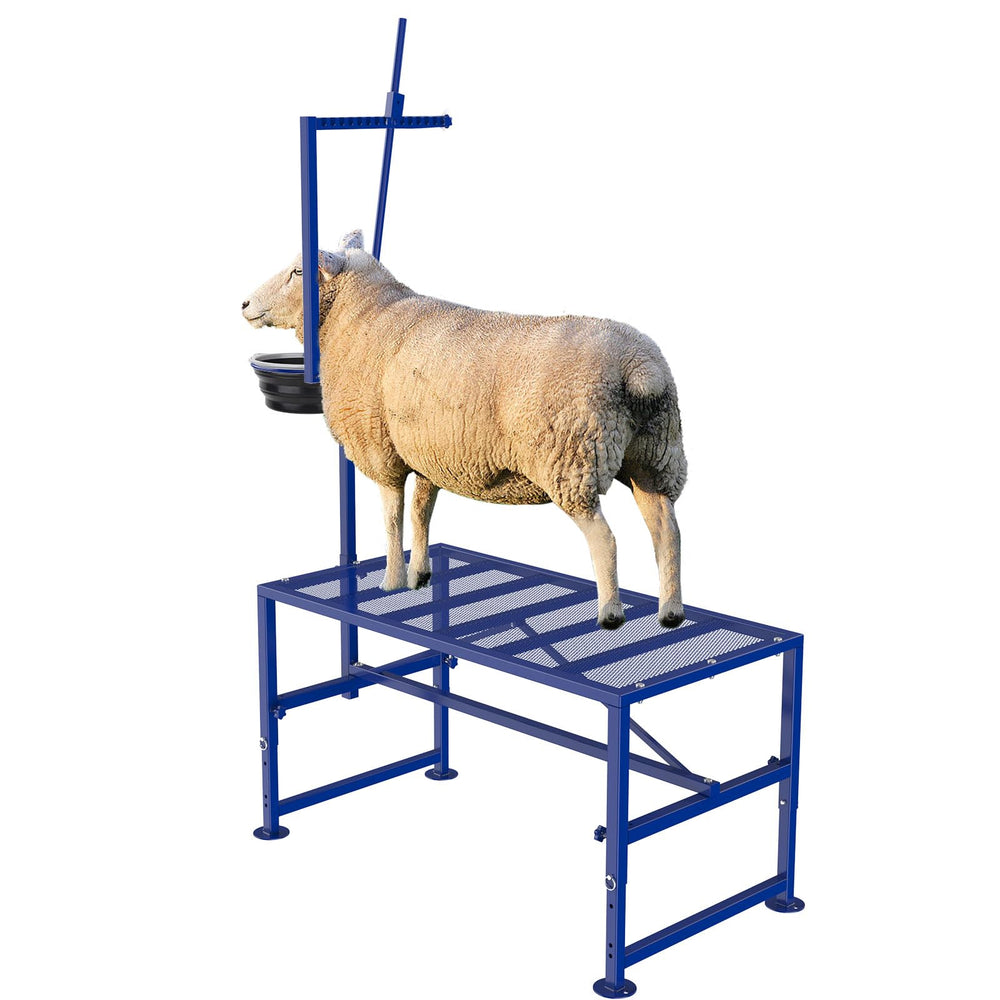 Lezbanz front view of milking stand showing sturdy frame and stable base benefit