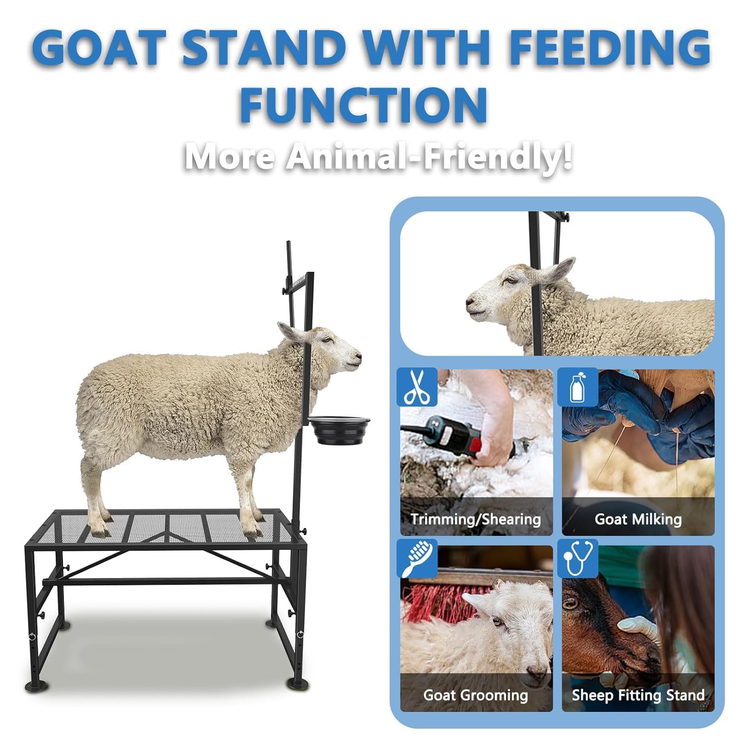 Lezbanz in use with a pygmy goat showing calm feeding and easier trimming
