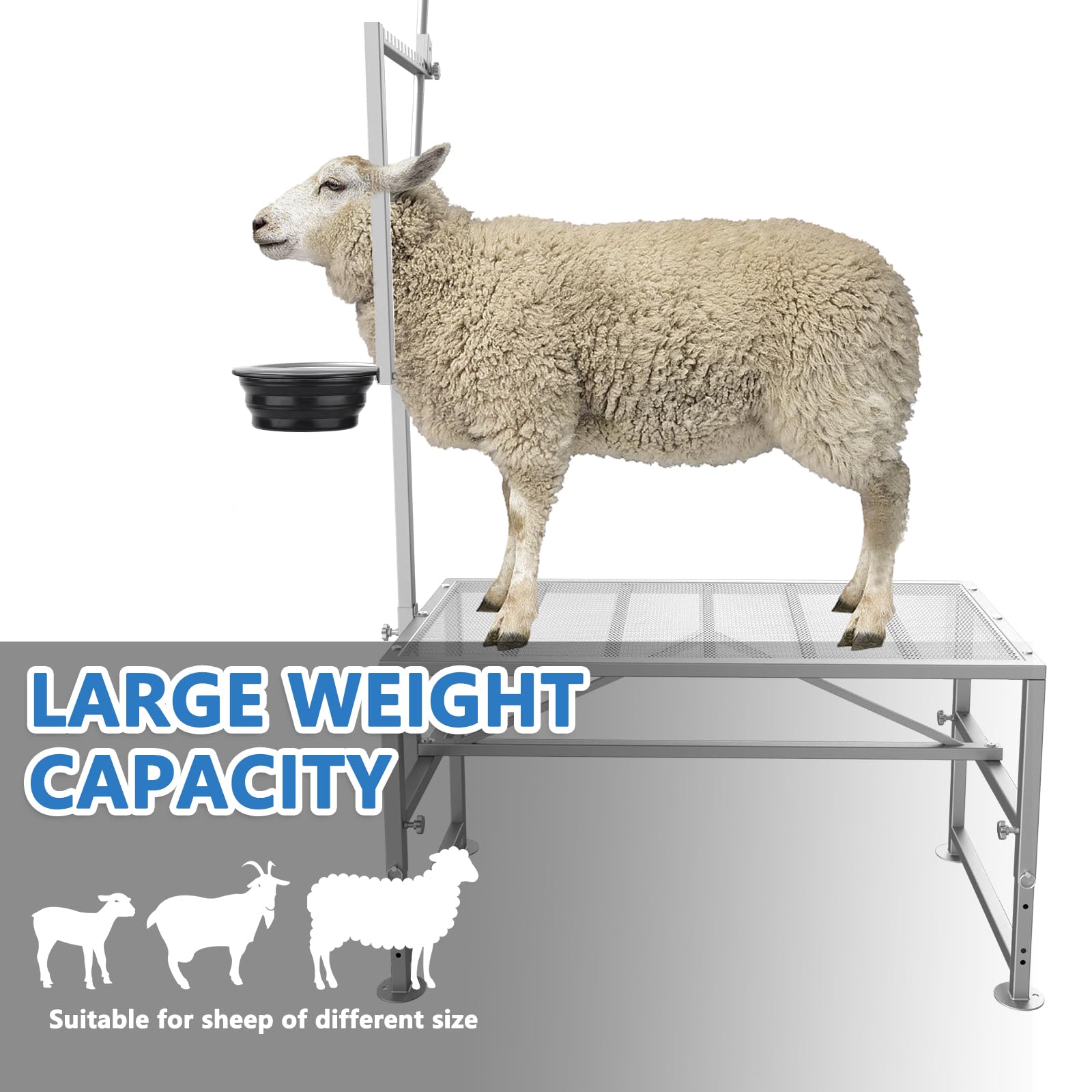 Lezbanz iron frame and triangular support offering strong load stability