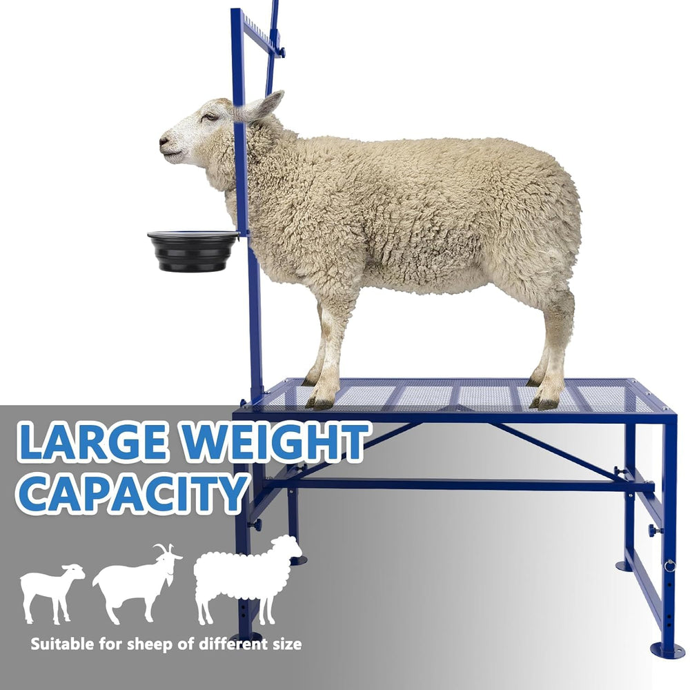 Lezbanz packaged parts and assembly tools for easy one-person setup