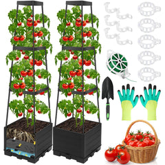 Lezmarket front view of two planters showing cages and healthy vines benefit tidy vertical growth