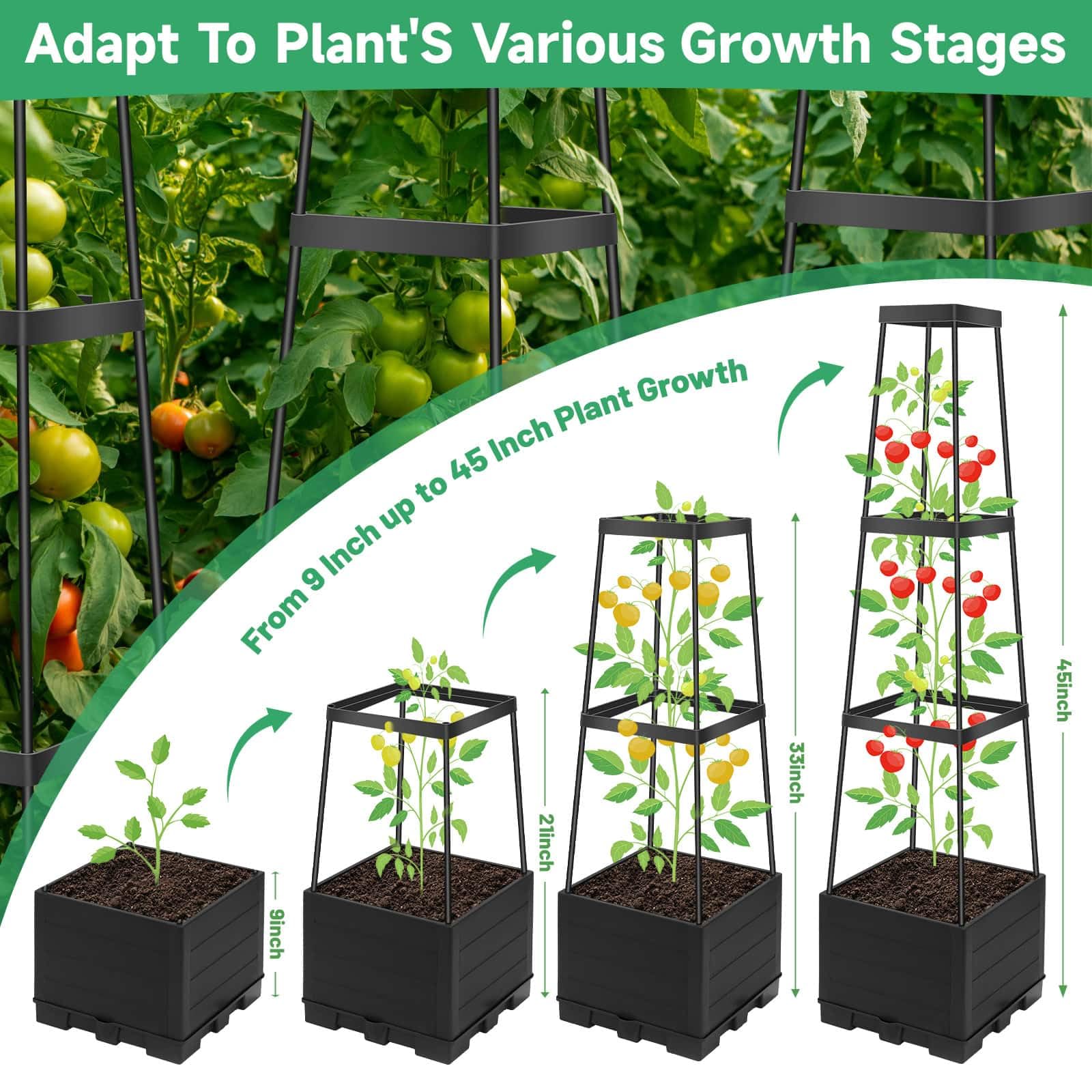 Lezmarket planter in use on balcony with tomatoes benefit space-saving urban gardening