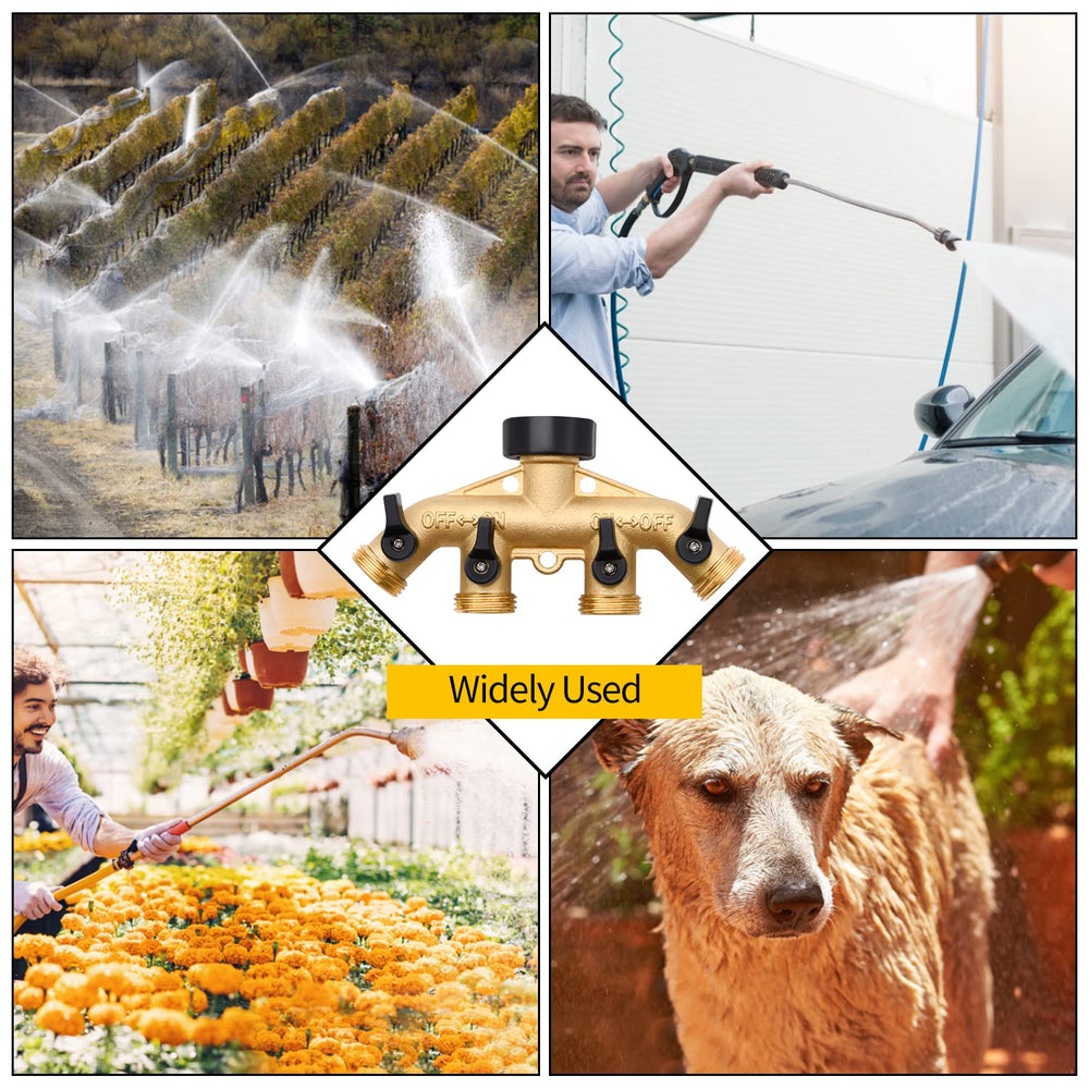 LFSEMINI lifestyle garden use running multiple hoses for efficient watering
