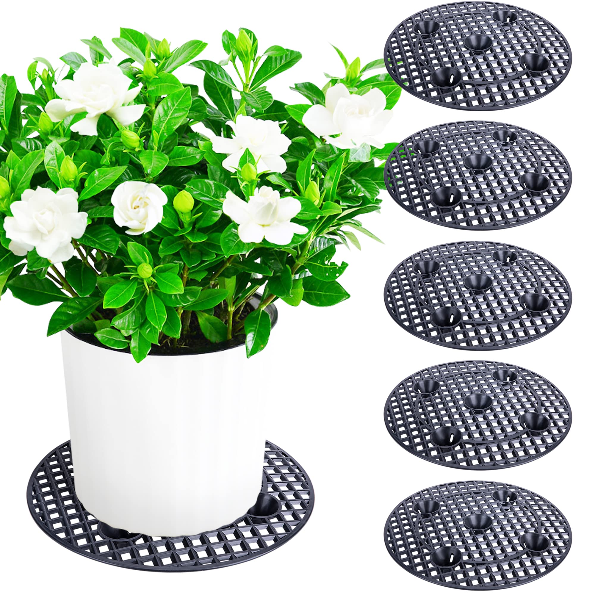 LFUTARI front view of six 15-inch plant risers showing protection benefit