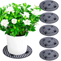 LFUTARI front view of six 15-inch plant risers showing protection benefit