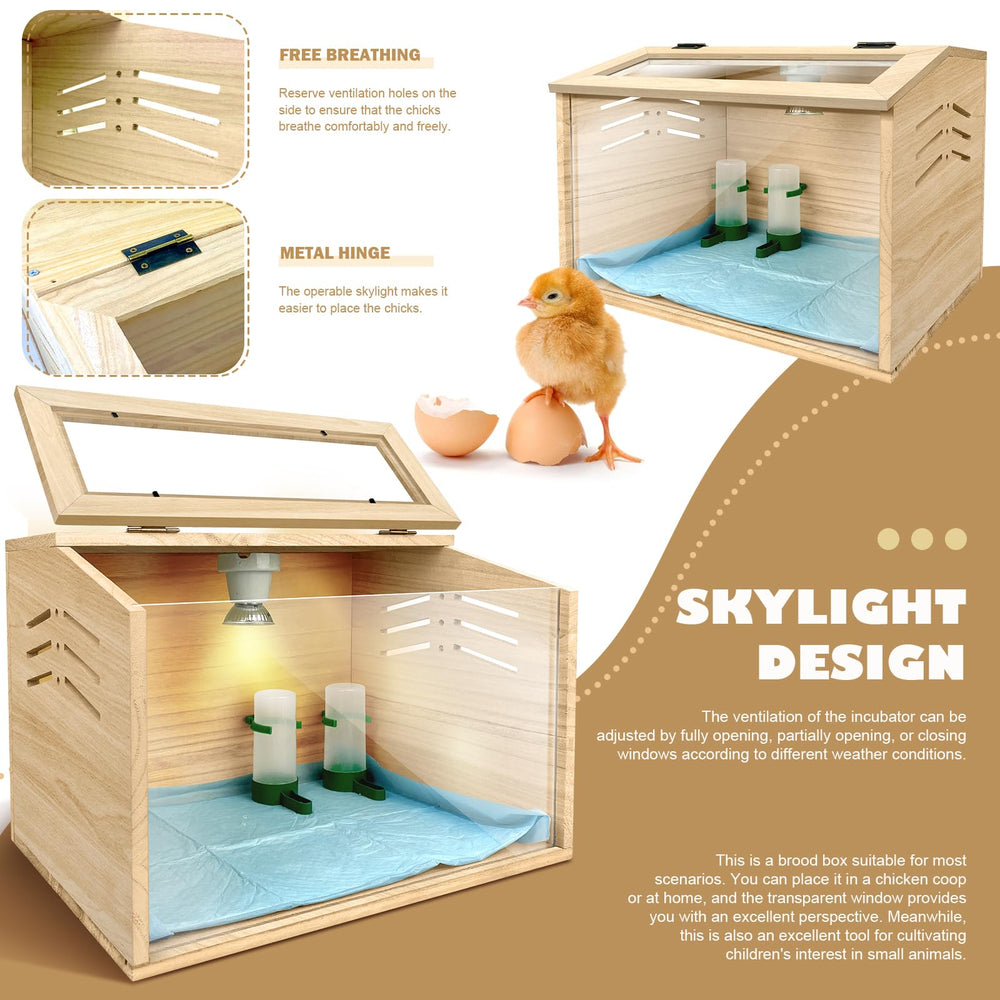 LIAQICHA brooder beside ruler showing compact 15.7x12x12 inch size