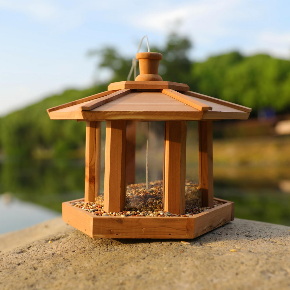Liawm feeder with cardinals feeding illustrating stable perches and bird-friendly access