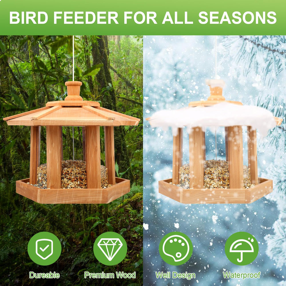 Liawm feeder hanging in garden near shrubs attracting birds and enhancing yard decor