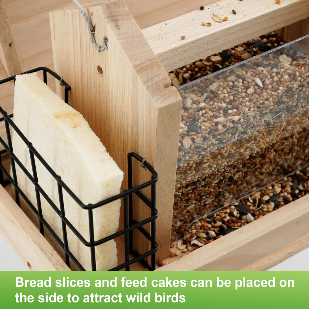 Liawm perch and seed tray close-up highlighting secure footing for birds