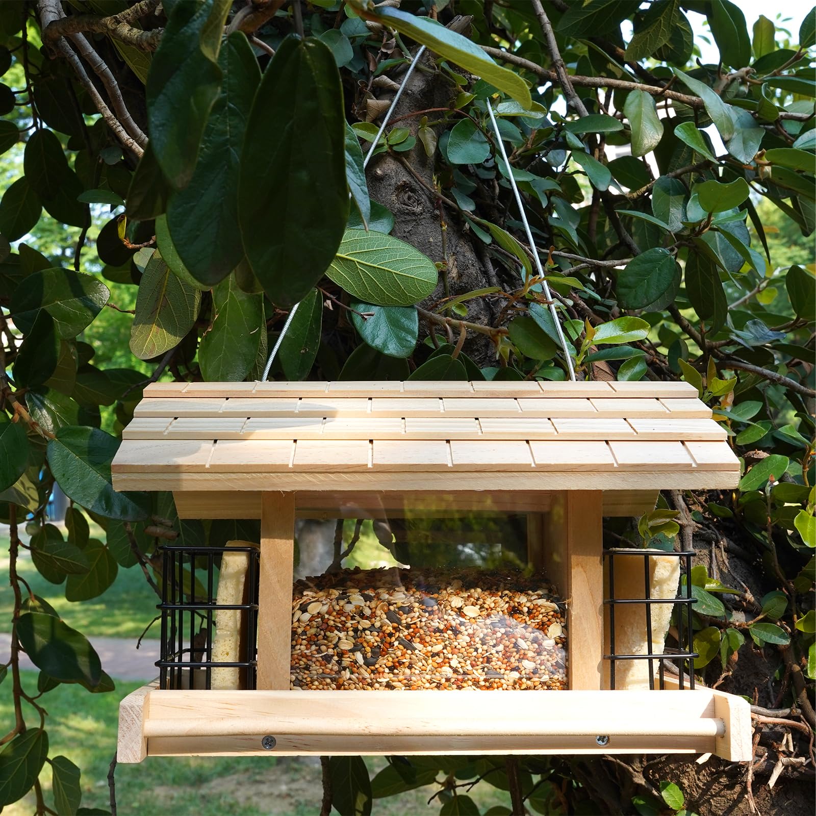 Liawm feeder held in hand to show size and large 2.3 pound capacity