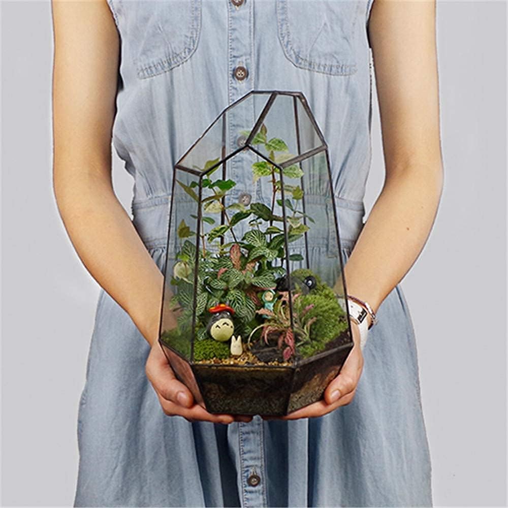 libproqia front view of terrarium showing modern display benefit