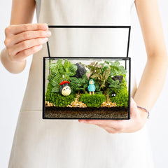 libproqia front view terrarium showcasing modern geometric display and clarity