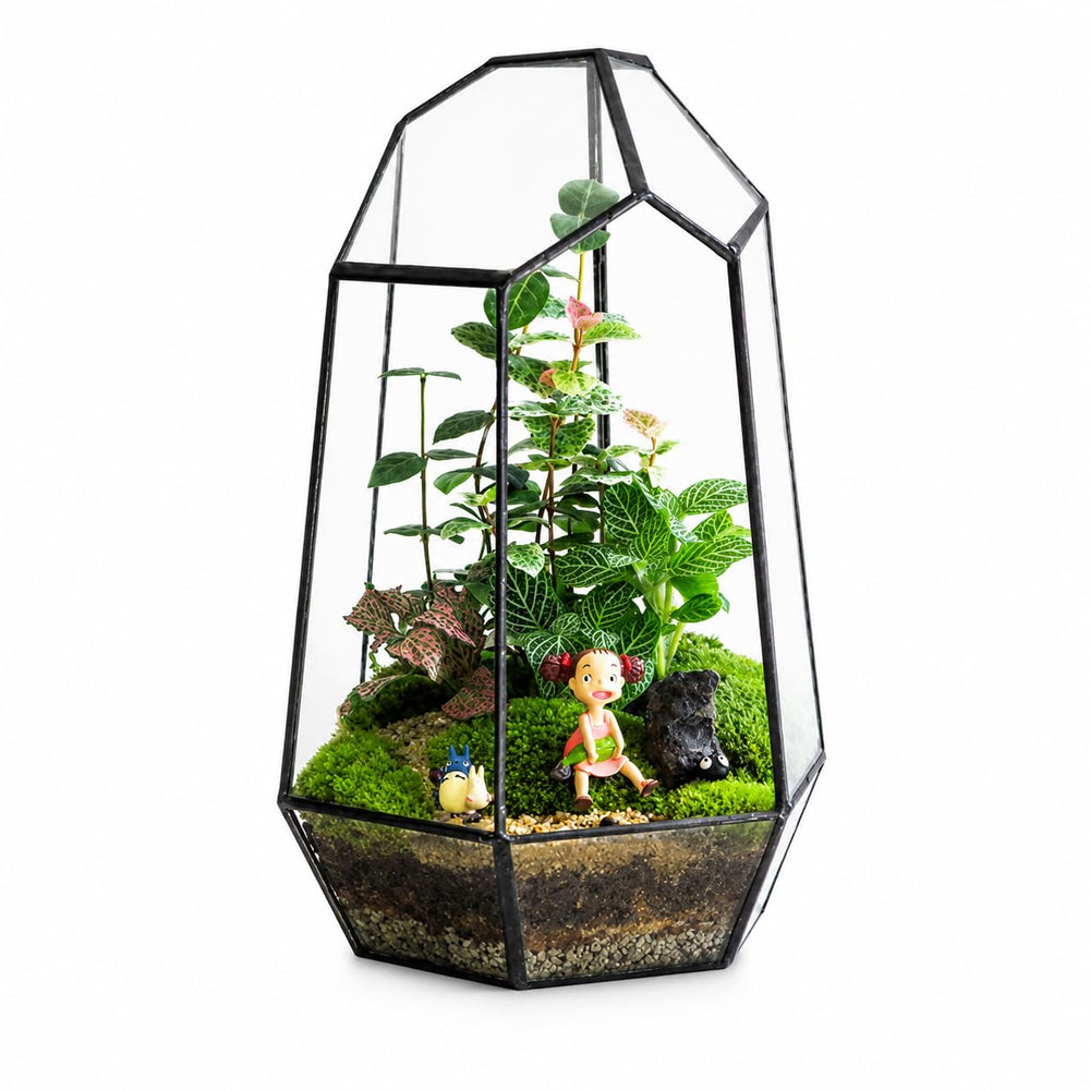 libproqia terrarium on desk with plants showing stylish workspace accent