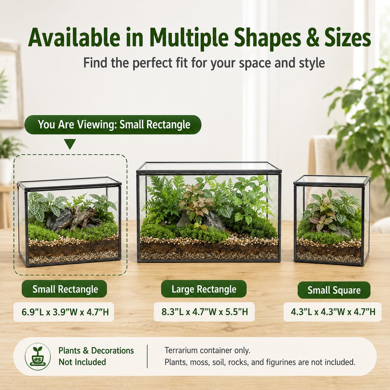 libproqia lifestyle tabletop display showing decorative impact in room