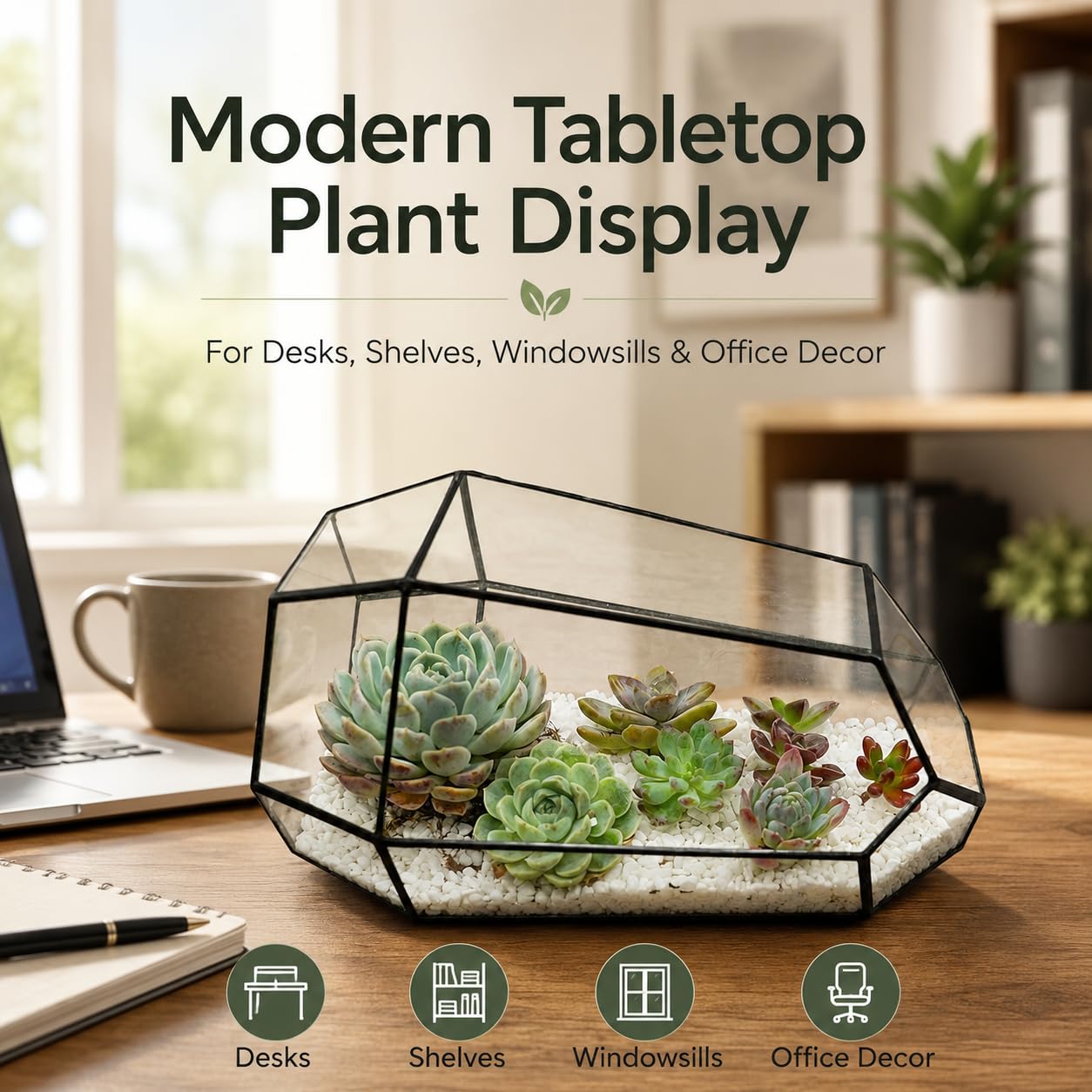 libproqia terrarium held by hand showing compact size and portability