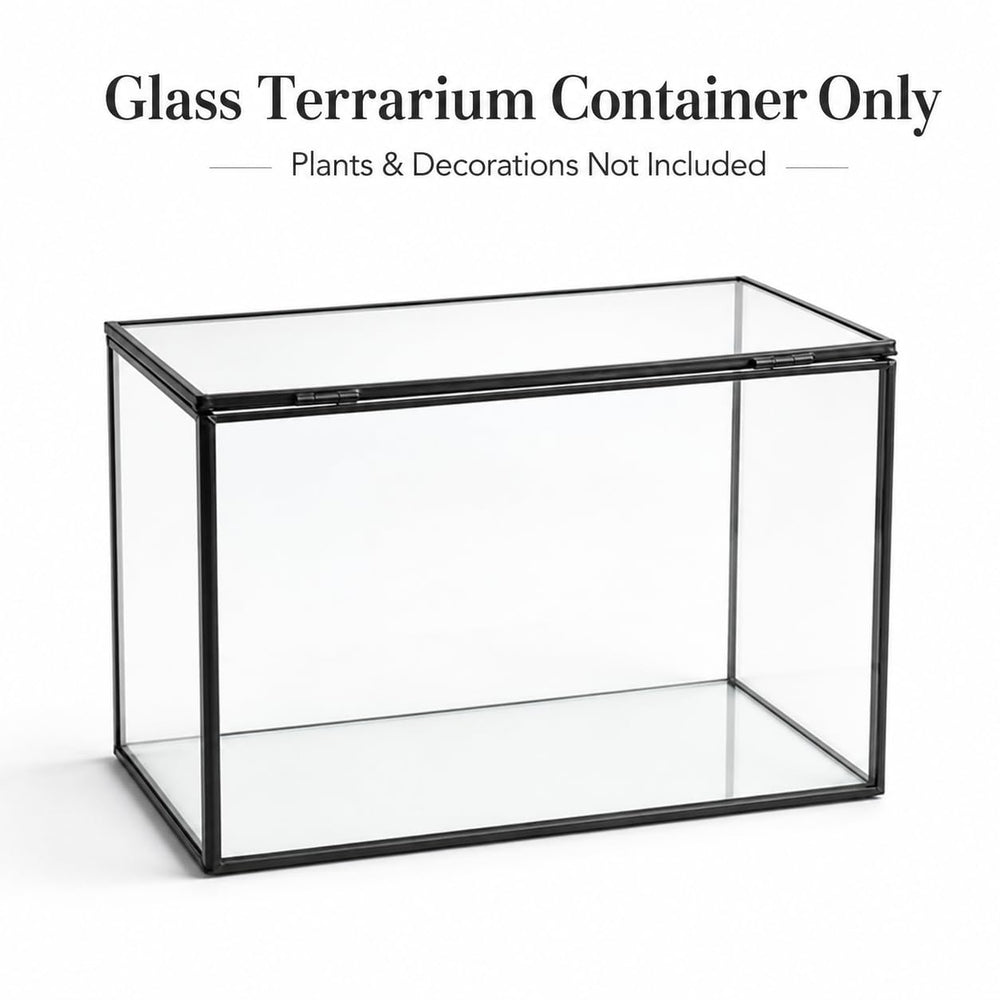 libproqia terrarium in hand for scale showing compact 8.3 by 4.7 inch footprint, size clarity