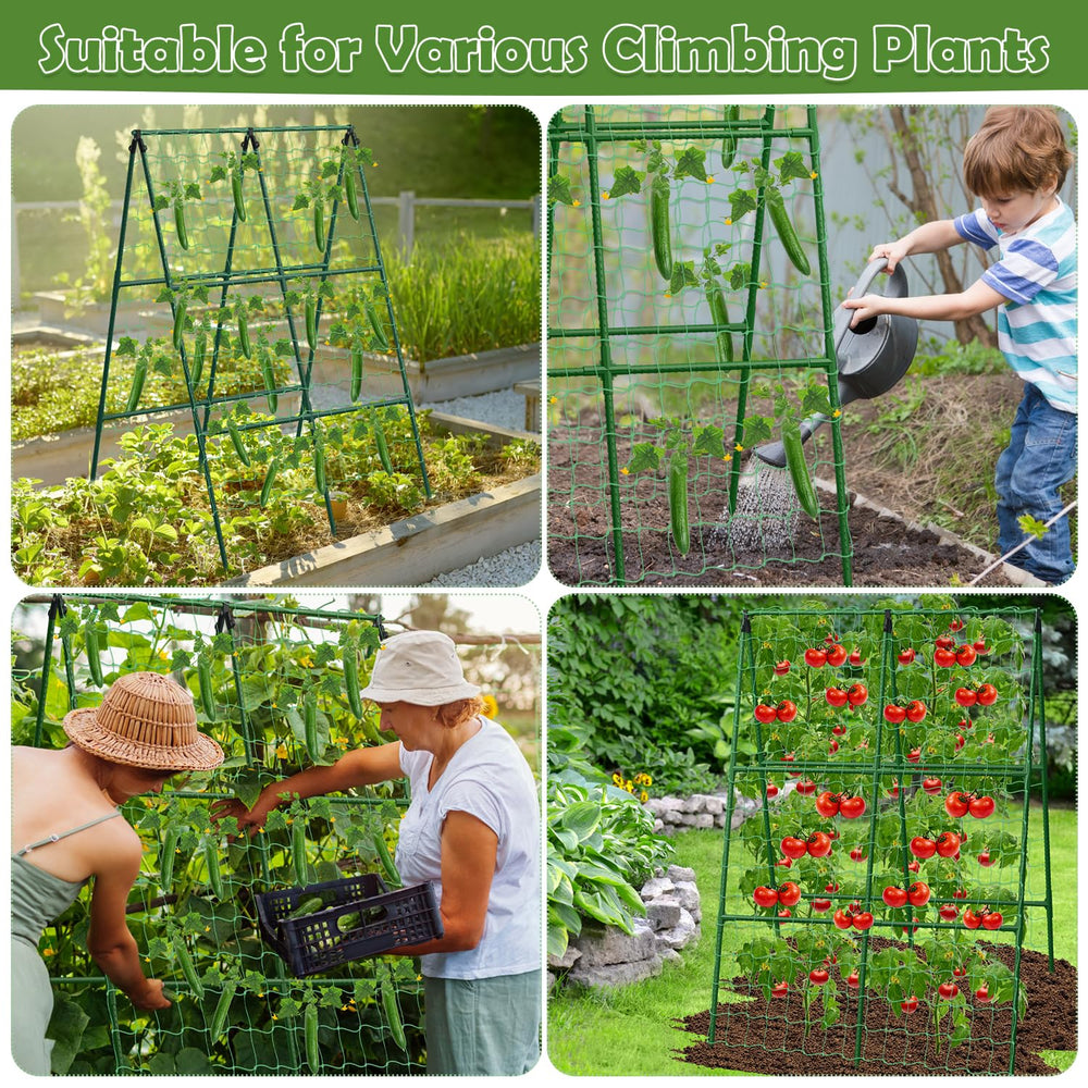 LifeisLuck trellis in garden with cucumbers for easier harvest and healthier fruit