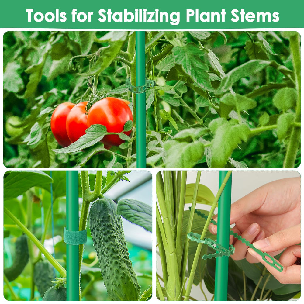 LifeisLuck size comparison next to garden tools showing the cage scale benefit