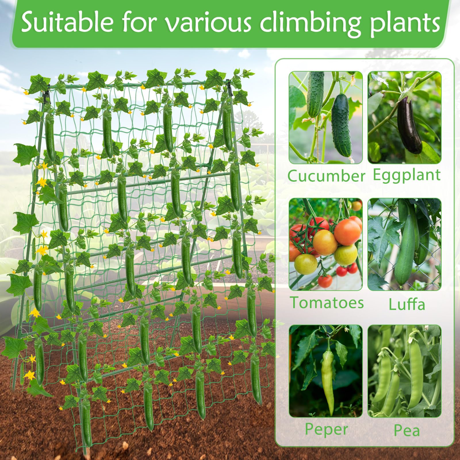 LifeisLuck trellis next to gardener for clear size and scale