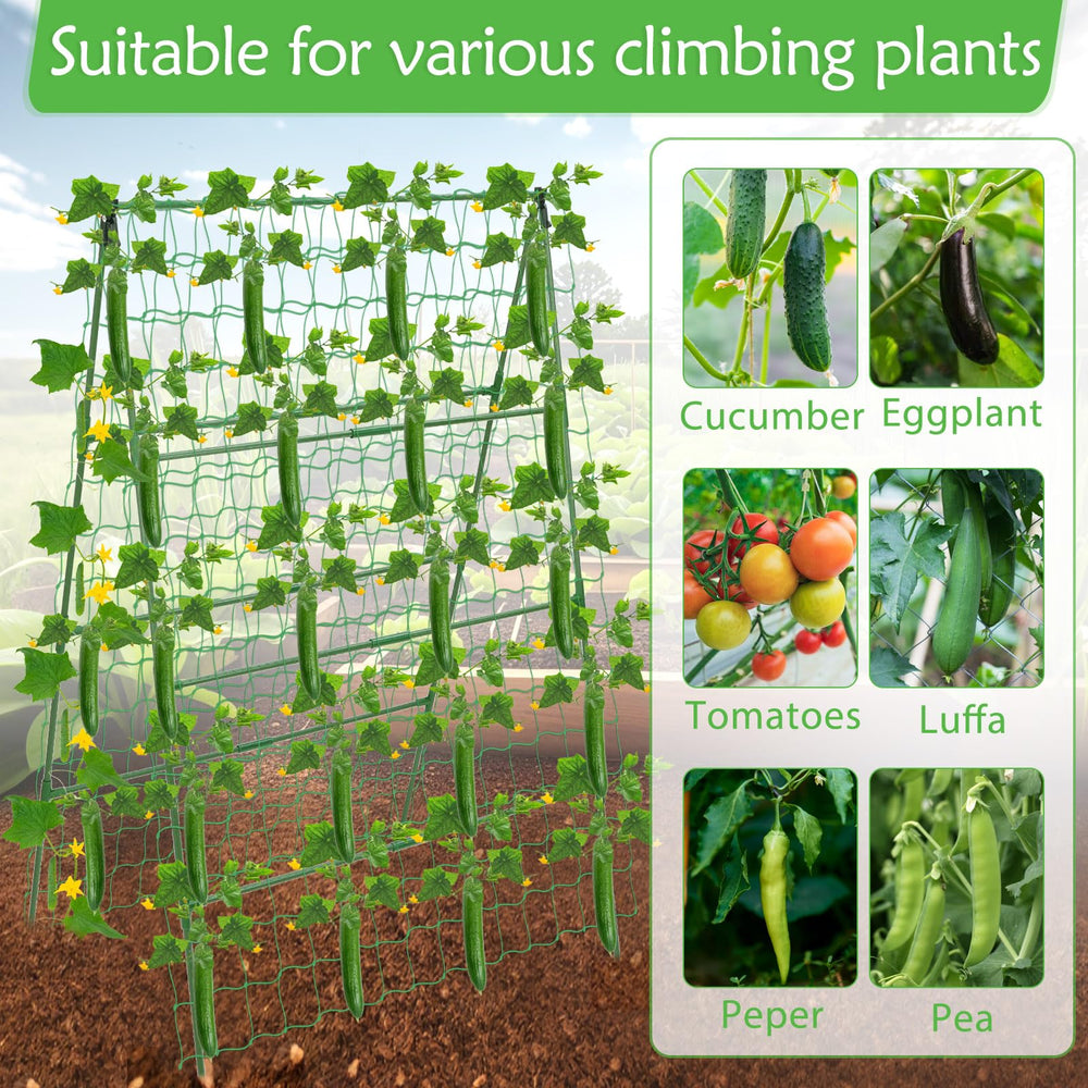 LifeisLuck trellis next to gardener for clear size and scale