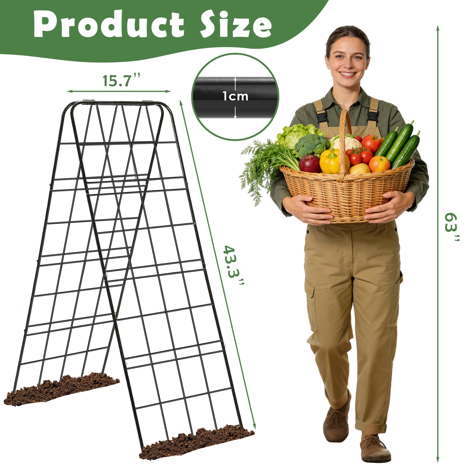 LifeisLuck trellis installed in raised bed demonstrating space-saving vertical growth