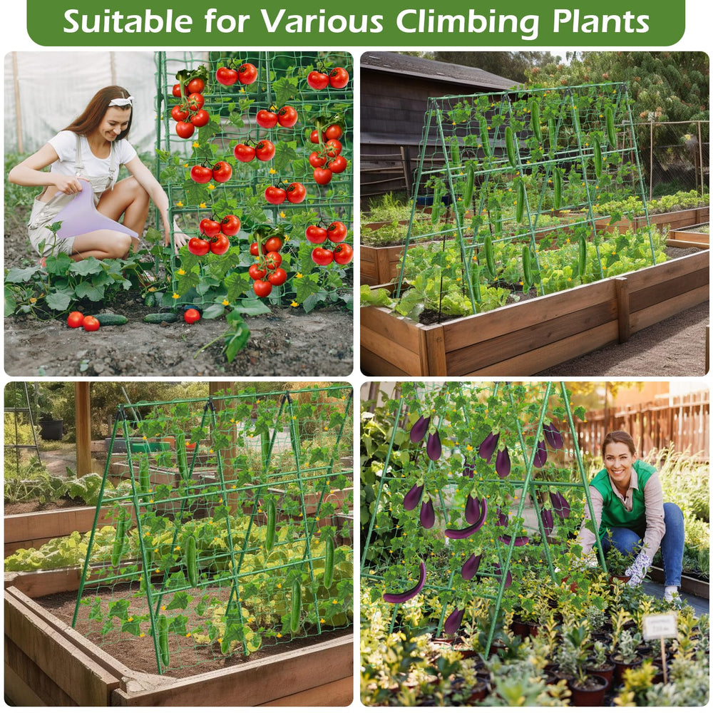 LifeisLuck compact folded trellis for convenient offseason storage