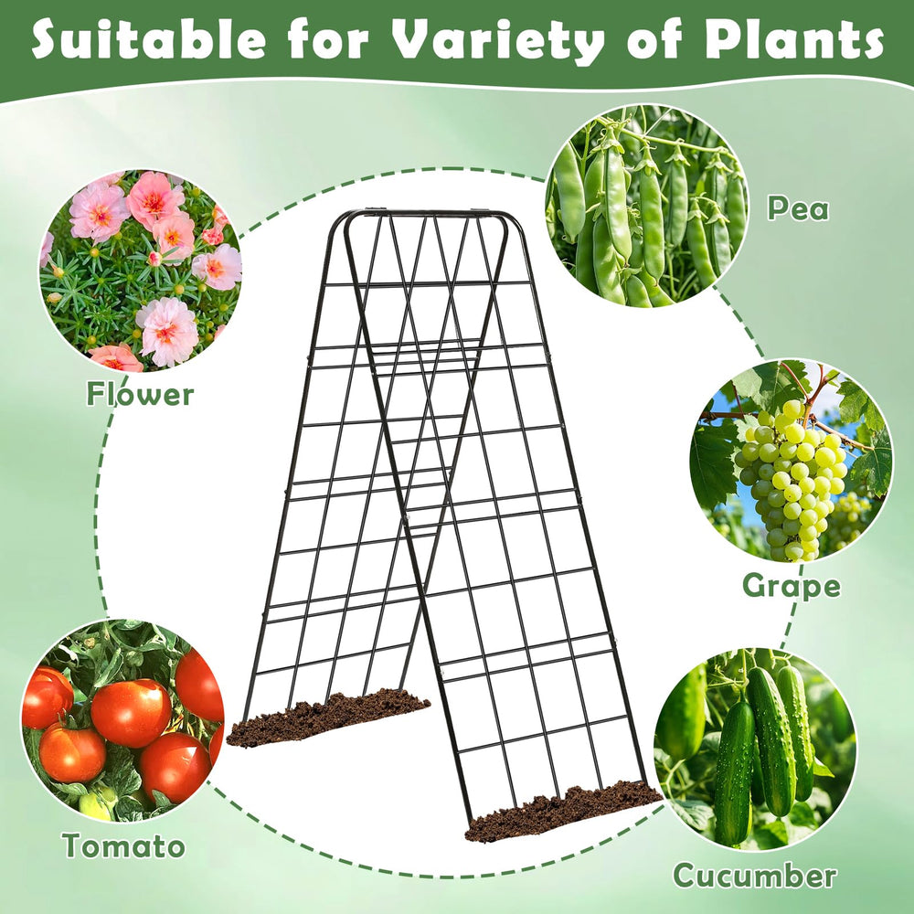 LifeisLuck trellis with cucumbers showcasing cleaner, elevated harvest benefit