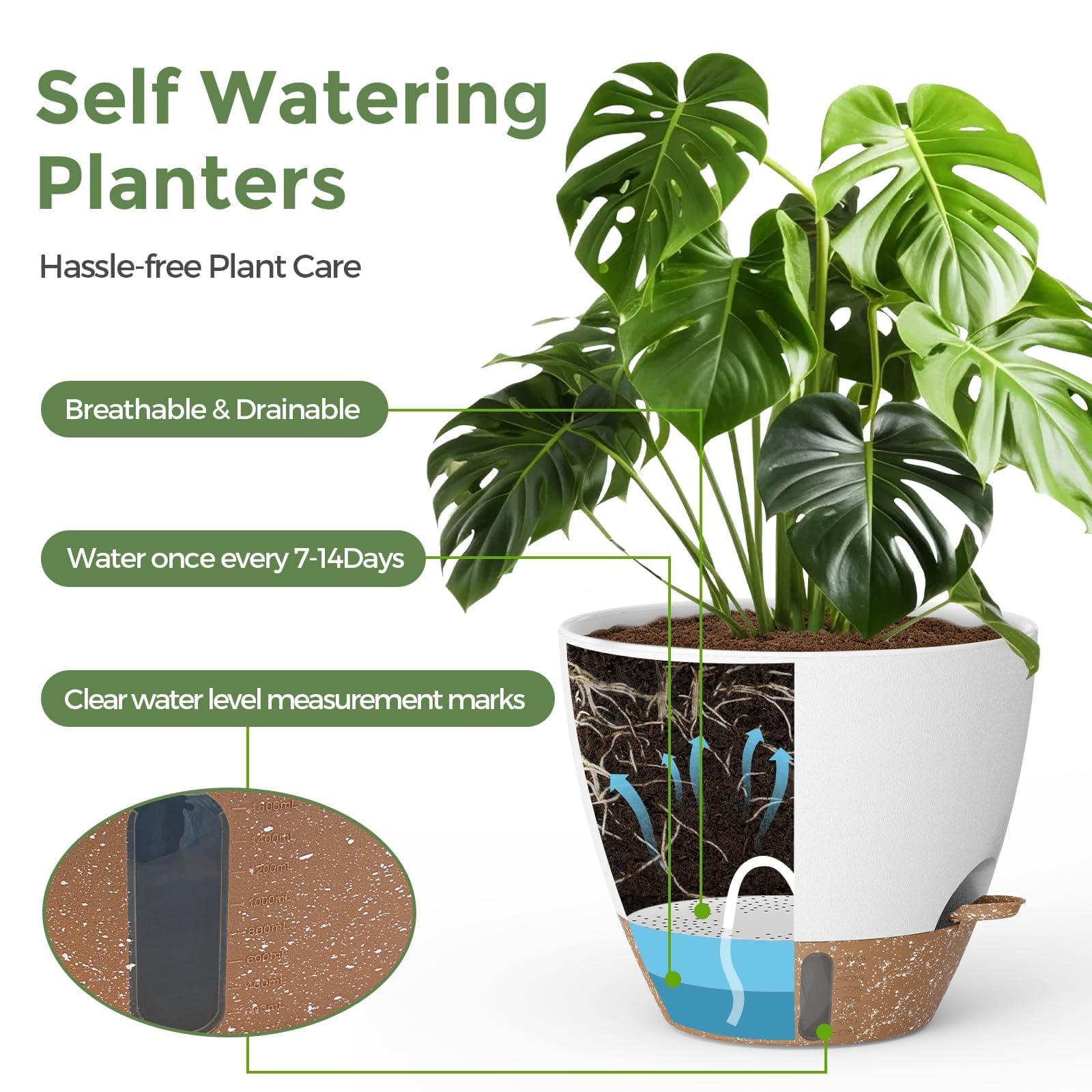 LifeNest planter base revealing mesh drainage and removable tray for healthy roots and easy cleaning
