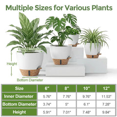LifeNest repotting mat in use protecting a tabletop while transplanting plants with no mess