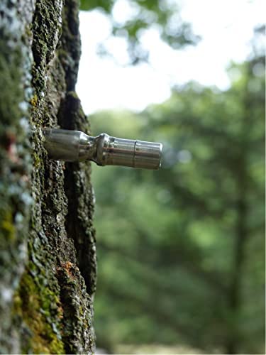 LIFETIME tap installed in tree with 5/16" tubing, reliable sap flow