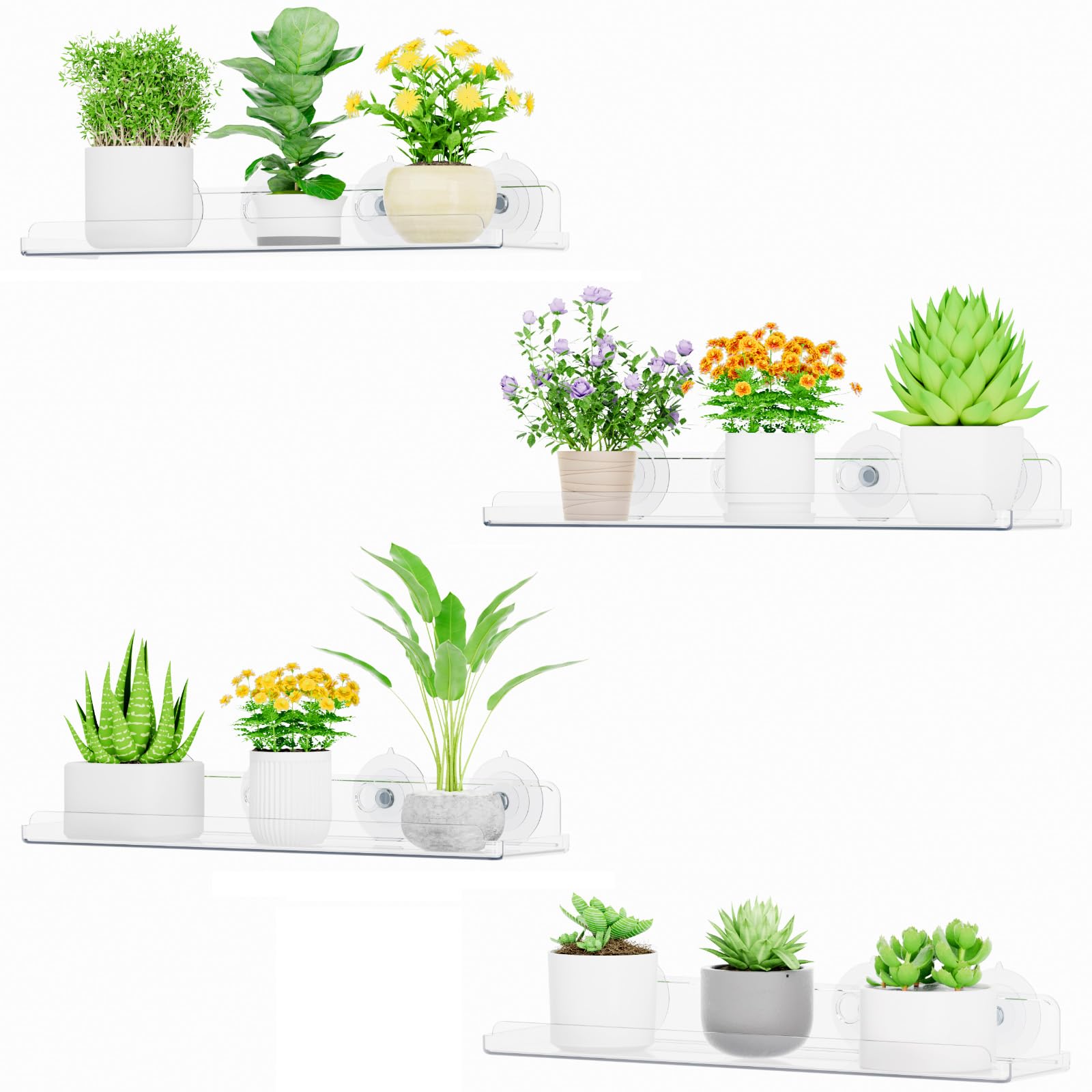 Lifewit front view of four-pack window shelves showing compact design and clear visibility
