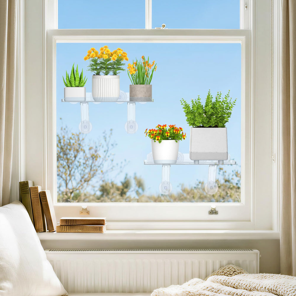 Lifewit lifestyle window display with plants in sunlight for aesthetic