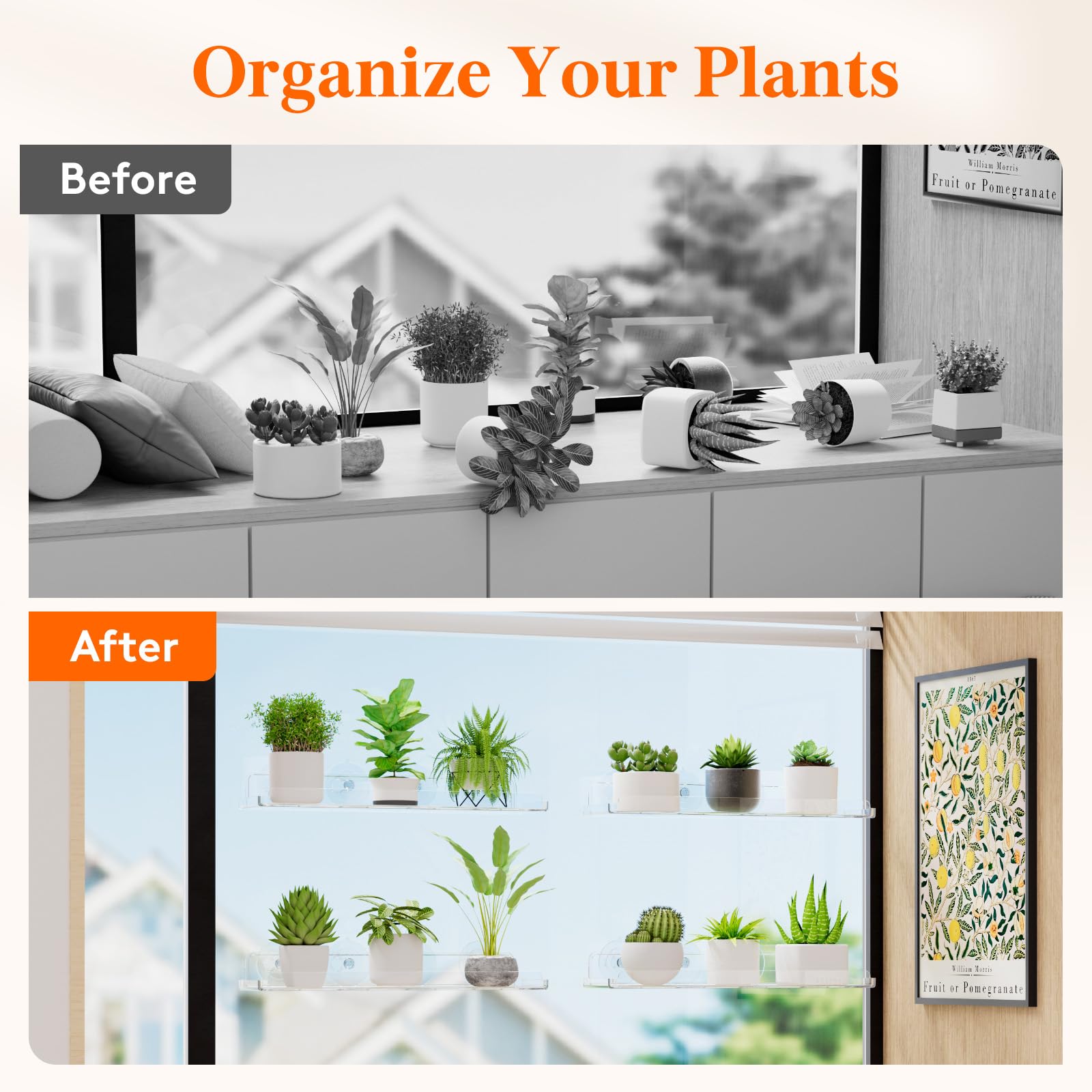 Lifewit arrangement of multiple shelves across a window to expand plant display