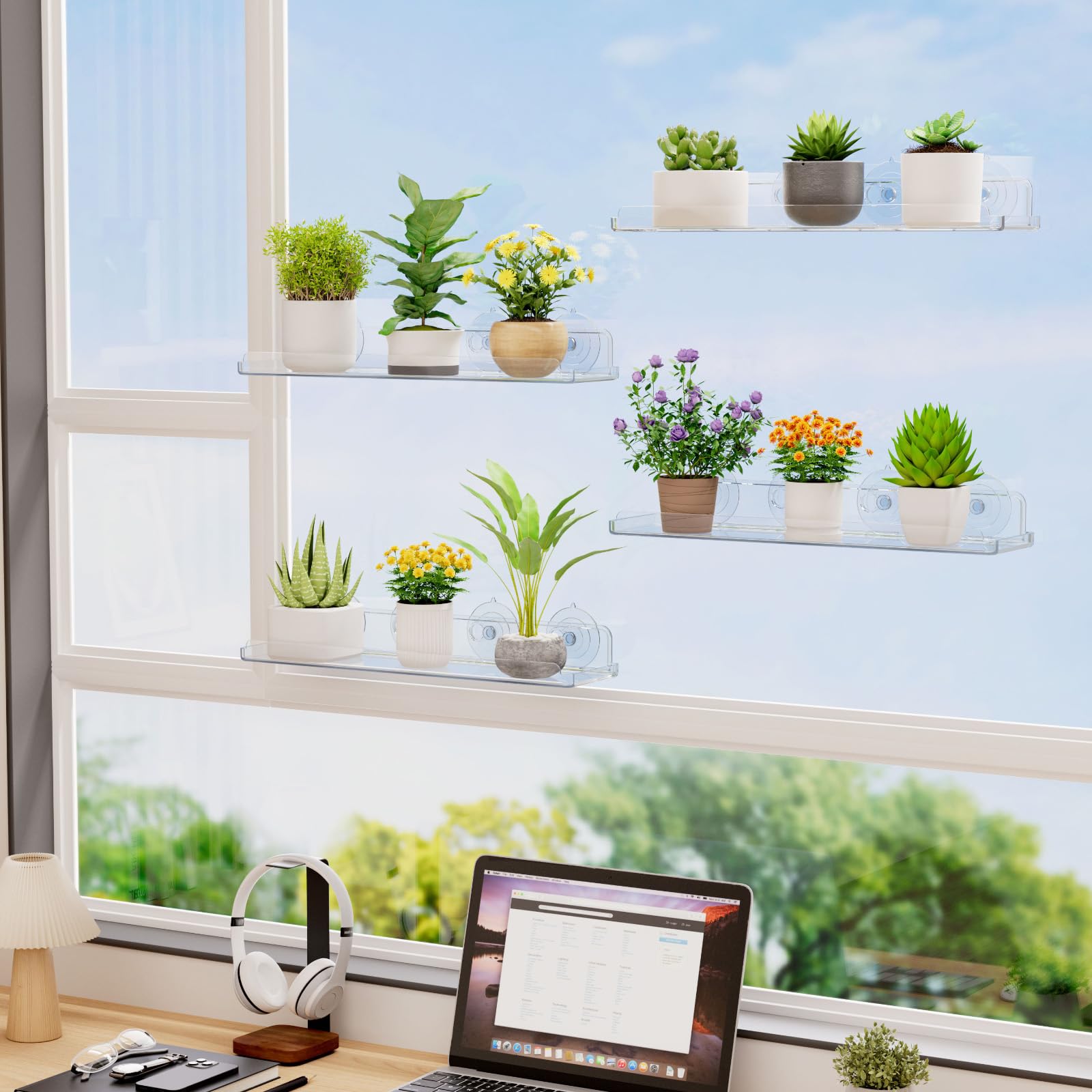 Lifewit kitchen herb display on window shelf maximizing counter space and fresh herbs