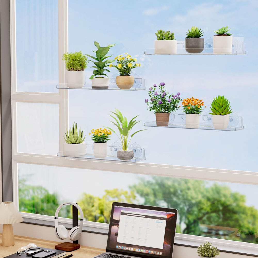 Lifewit kitchen herb display on window shelf maximizing counter space and fresh herbs