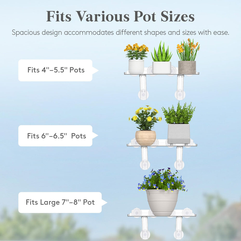 Lifewit shelf holding three small pots for room brightening