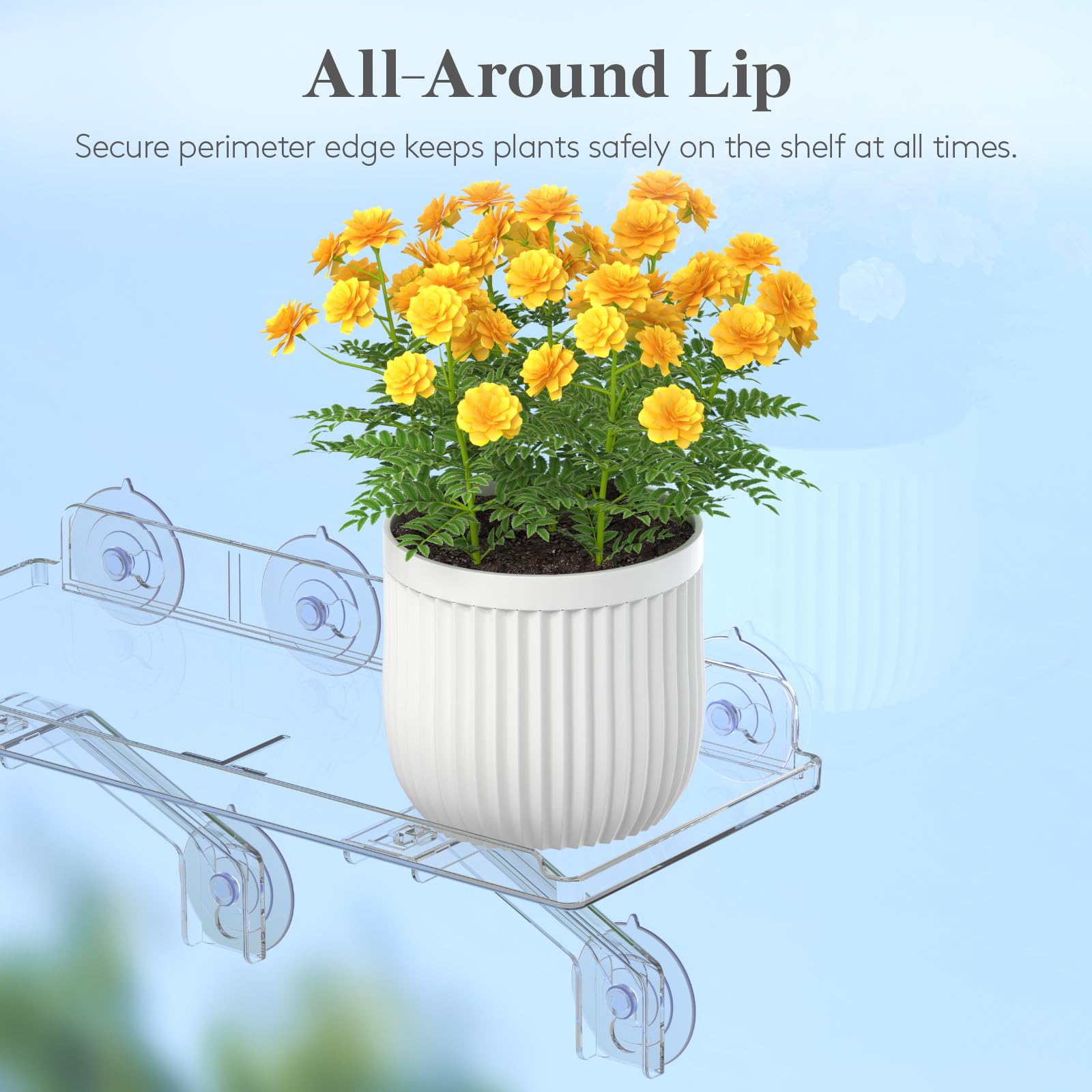 Lifewit shelf next to ruler and pots showing 15.2-inch width for multiple containers