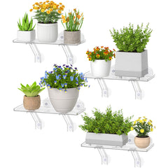 Lifewit front view of shelf pack showing wide platform and clean design benefits display