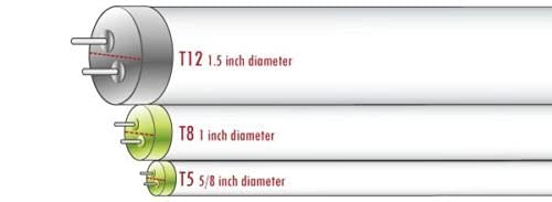 LightWise lighting seedlings under tubes highlighting compact healthy growth